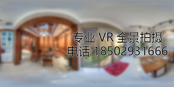 宝塔VR全景技术在未来可能的发展方向和应用领域?